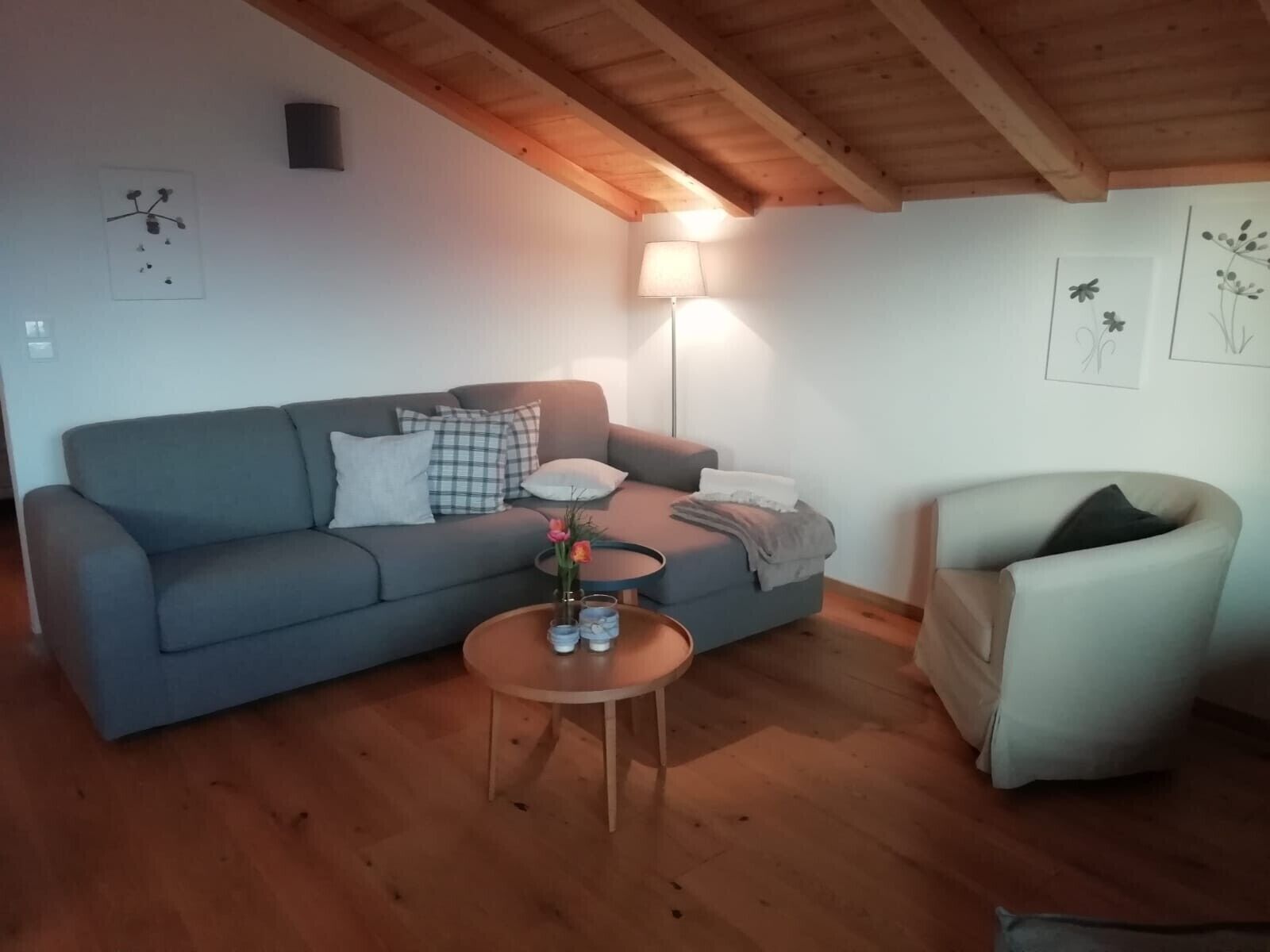 Fernseher, Tischtennisplatte