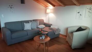 Fernseher, Tischtennisplatte