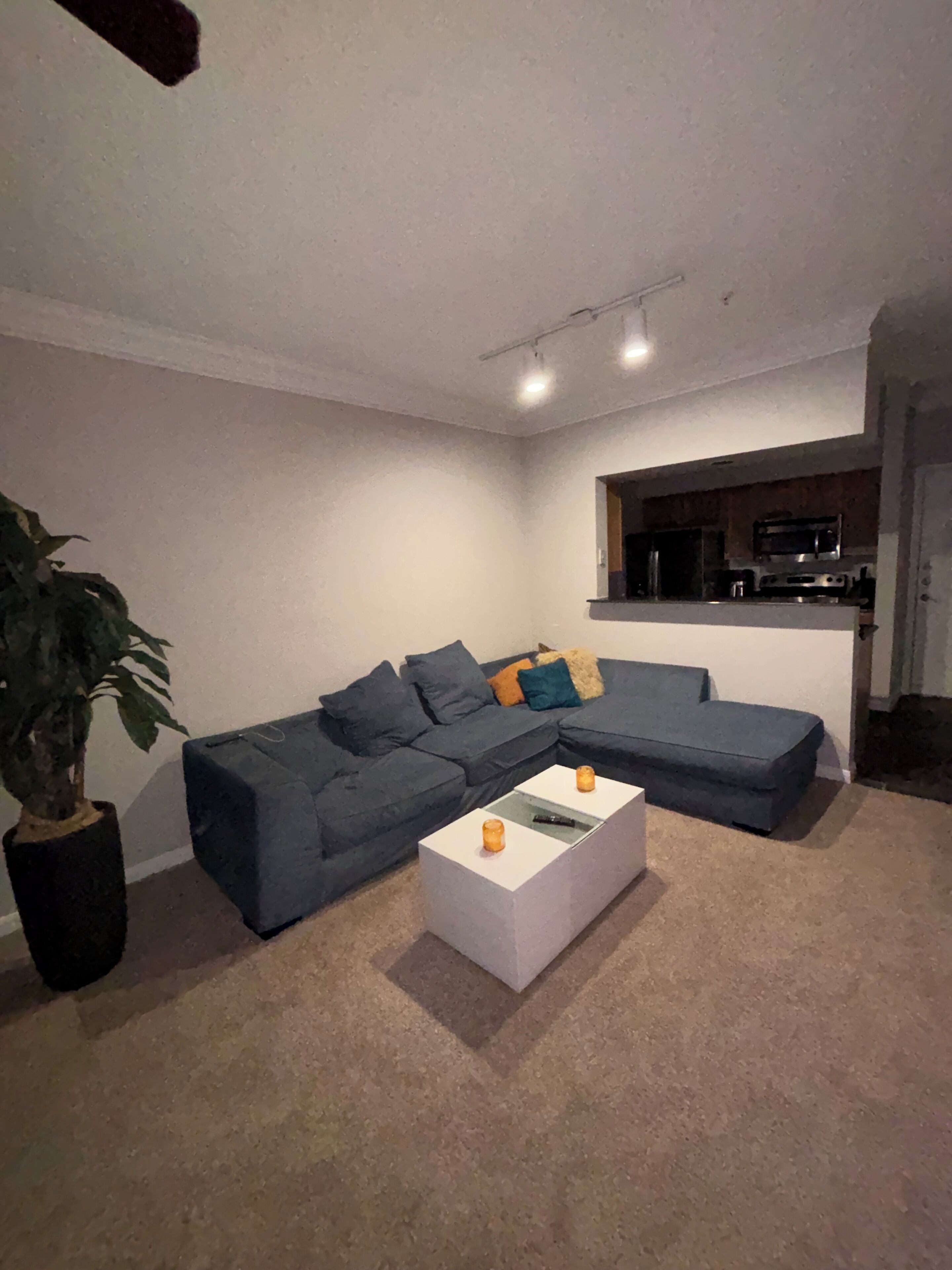 منطقة المعيشة