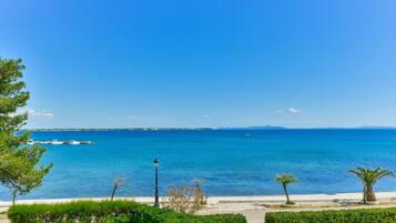 A coastal view with a clear blue sky, a sandy beach, and a few palm trees.