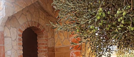 独立别墅 | 2 多间卧室