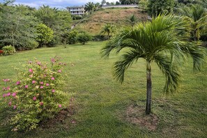 Property grounds - Perfect 2-bedroom apartment with AC in prestigous Morne Daniel near Roseau (Morne Daniel)
