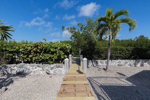 A pathway leading to a building with a stone wall and palm trees. - Sombrero Sands 3/2 w pool + 80 ft dock, .5 miles to Sombrero Beach (Marathon)