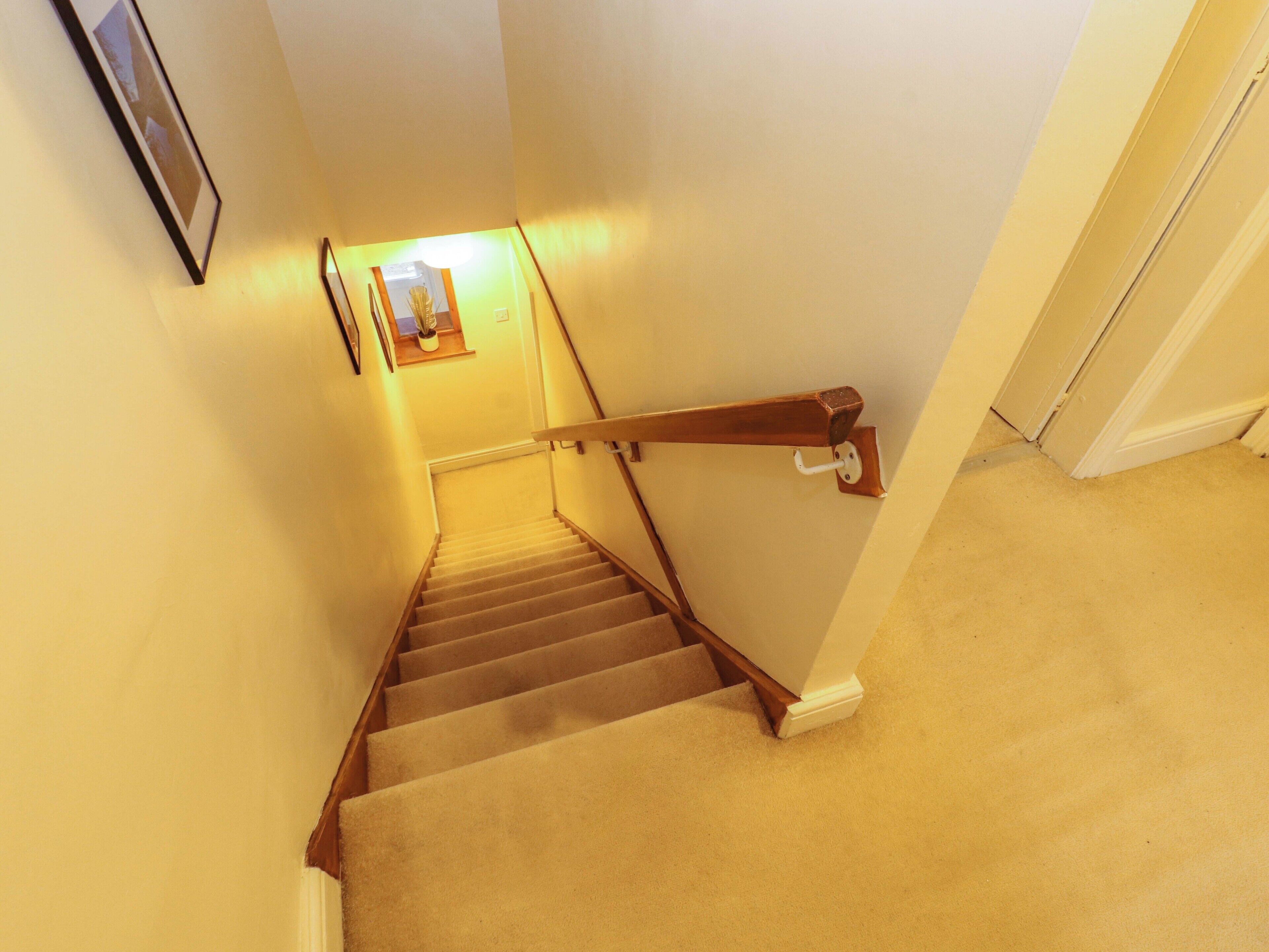 A carpeted staircase with wooden handrails and a light fixture at the top.