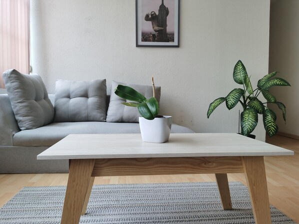 Comfort-huoneisto | Oleskelualue