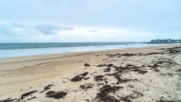 Una playa con arena y algas, un cielo despejado y una costa distante con edificios.