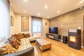 TV, stereo - Le Repos du Rhin - 20min de Mulhouse (Niffer)