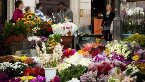 Un mercat de flors davant d'un edifici amb una entrada gran i apuntada, i un rètol que diu "rentino".