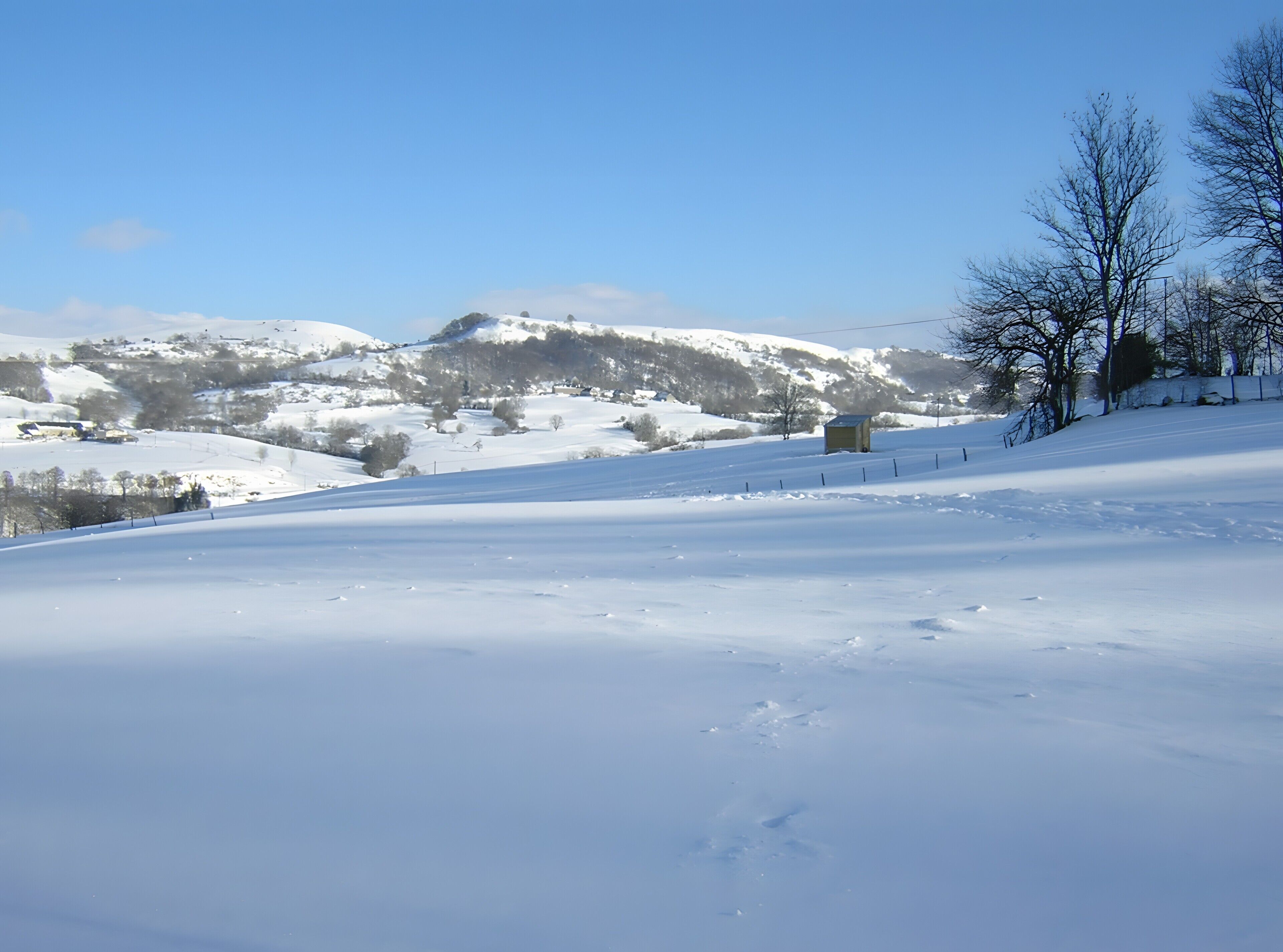 A snow-covered landscape with a clear sky, a small building, and bare trees.