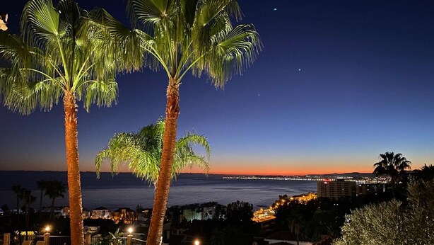 A nighttime view of a pool area with palm trees, a pool, and a cityscape in the background.