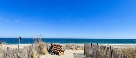 Playa en los alrededores