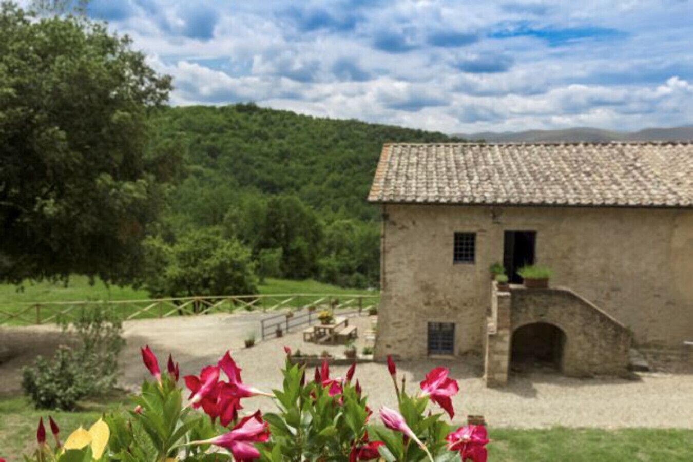 Jardines del alojamiento