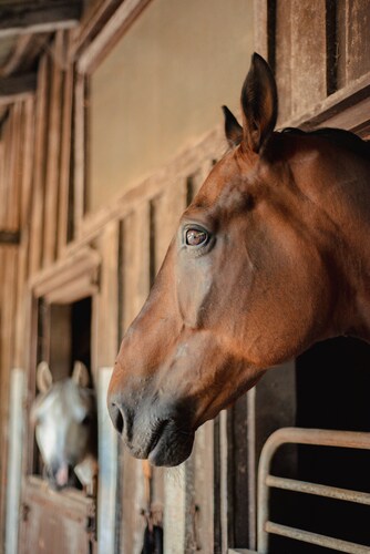 Villa mit 4 Schlaf- und 5 Badezimmern für 8 Gäste