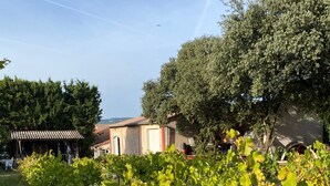 A vineyard with grapevines in the foreground, a rustic building with a tiled roof in the background, and a clear sky above. - Les Lauriers Roses (Bollène)