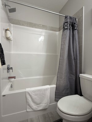A modern bathroom with a bathtub, shower, and toilet.
