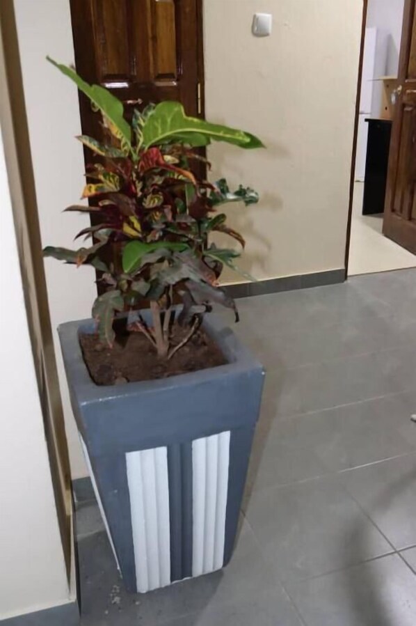 Interior - casa camba mar (Bissau)