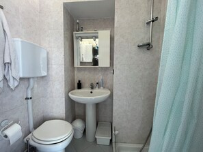 Regadera, secadora de cabello, bidet, toallas 