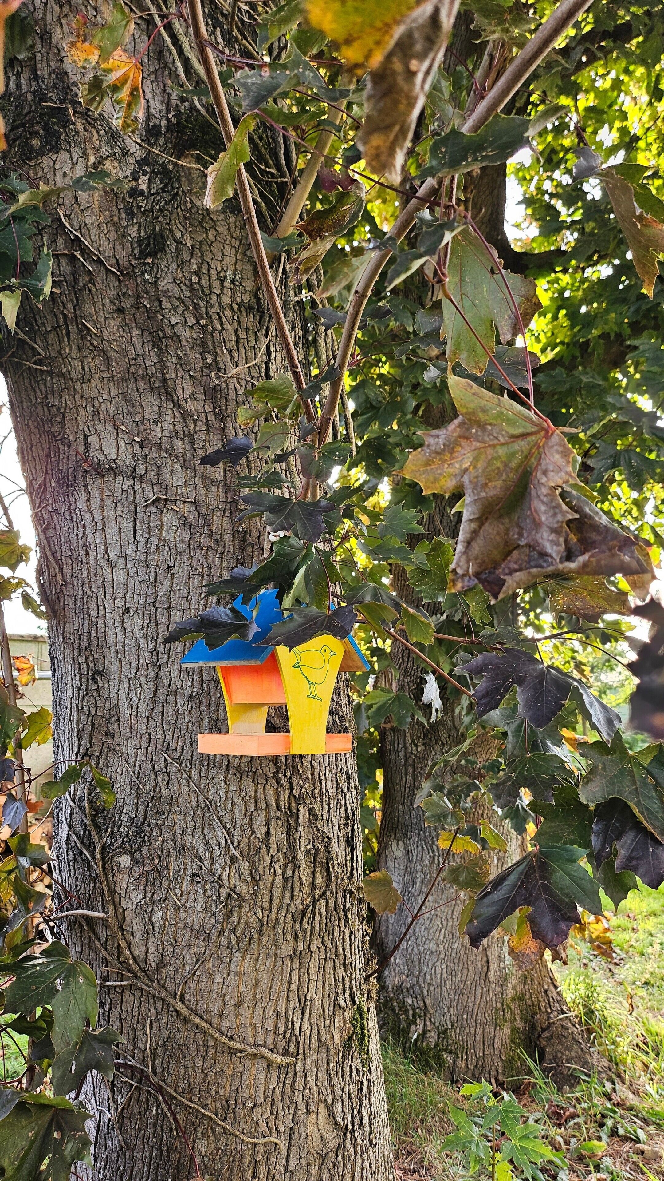 A tree with a colorful birdhouse attached to it.