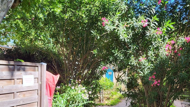 A garden pathway with a wooden fence, a bench, and various plants and flowers.