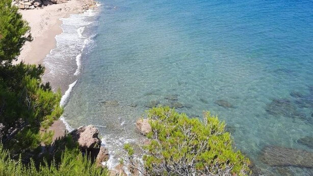 Une vue sur la côte, avec une eau bleue et limpide, une plage de sable et une végétation luxuriante.