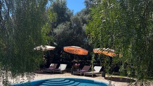 Una piscina amb un marc de pedra, envoltada de gandules i ombrelles, situada en una zona verda amb arbres.