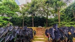 Ein Gartenweg mit üppigen Pflanzen und einem Steinpfad, der zu einer Bank führt.