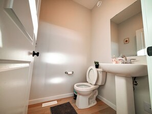 Hair dryer, towels, soap, toilet paper