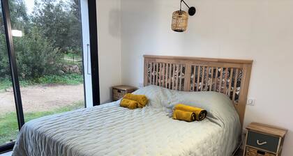 Very comfortable, bright T3 in a quiet location with a beautiful exterior.