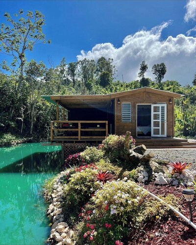 Natural Island cabin in the mountains of Adjuntas.