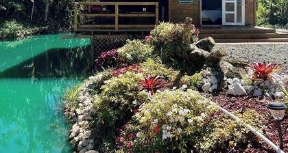 Natural Island cabin in the mountains of Adjuntas.
