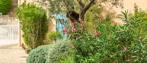 Un jardín con diversas plantas y un árbol de flores rosadas.