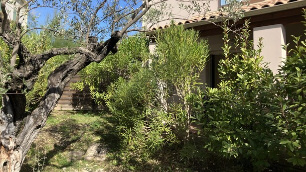 A building with a tiled roof, surrounded by various trees and shrubs. - House in Drôme Provençale - Domaine de L'oliveraie (Nyons)