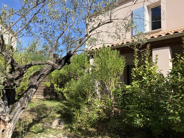 Ulkoalueet