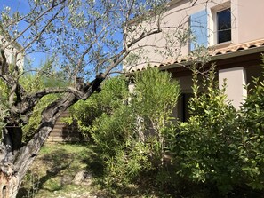 Property grounds - House in Drôme Provençale - Domaine de L'oliveraie (Nyons)
