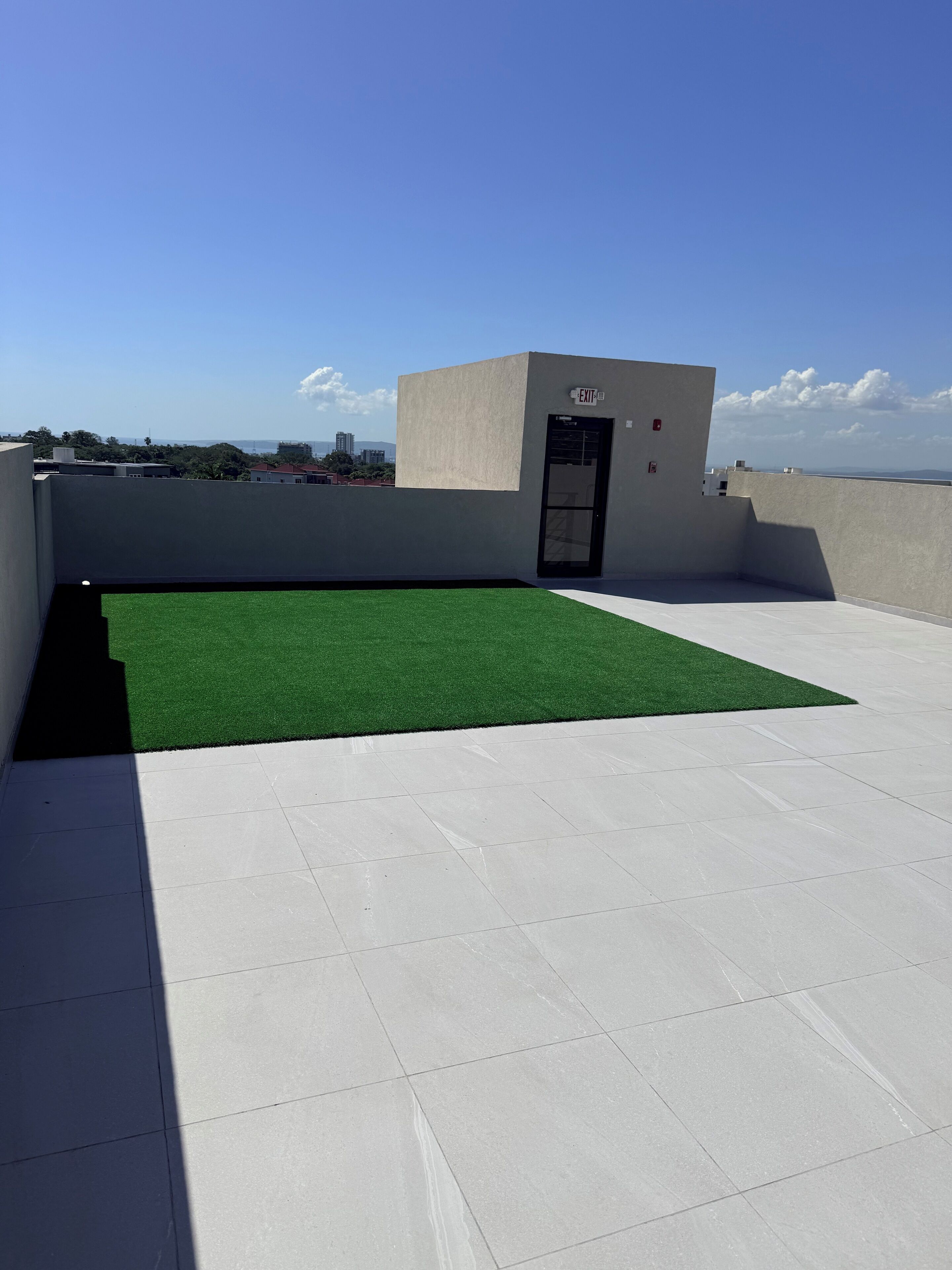 A rooftop terrace with artificial green turf, a small exit door, and a clear view of the cityscape.