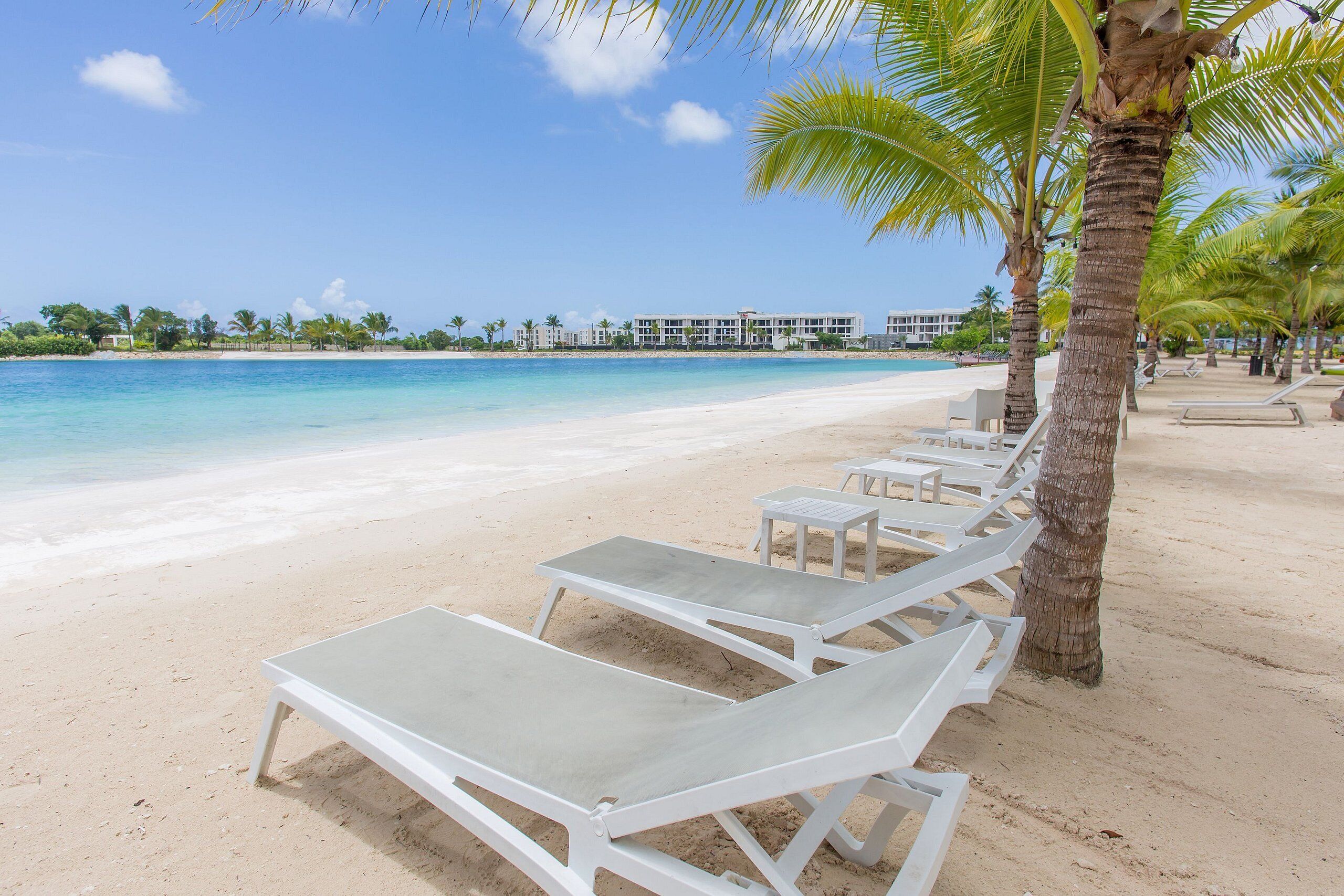 A beach with white lounge chairs and a palm tree.