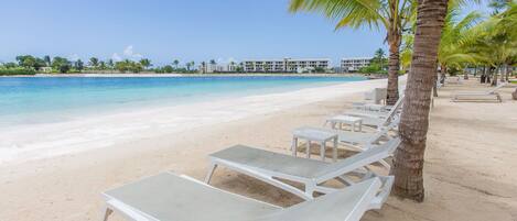 A beach with white lounge chairs and a palm tree.