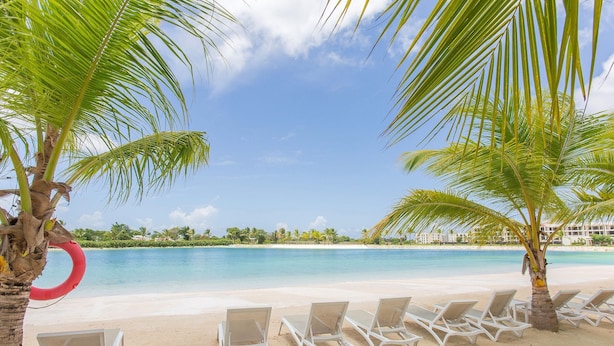 A beach with white lounge chairs and palm trees. - 1BR apartment pool, golf, and artificial beach (Punta Cana)