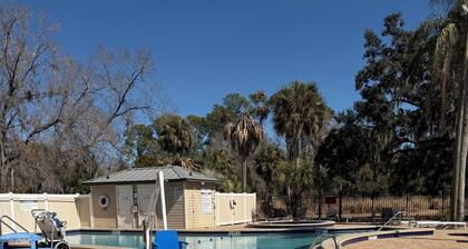 Cozy 1-bedroom cottage close to Tampa attractions