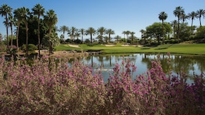 A golf course with a pond, palm trees, and purple flowers. - Beautifully renovated Longboat Key Villa brief walk to a private beach (Longboat Key)
