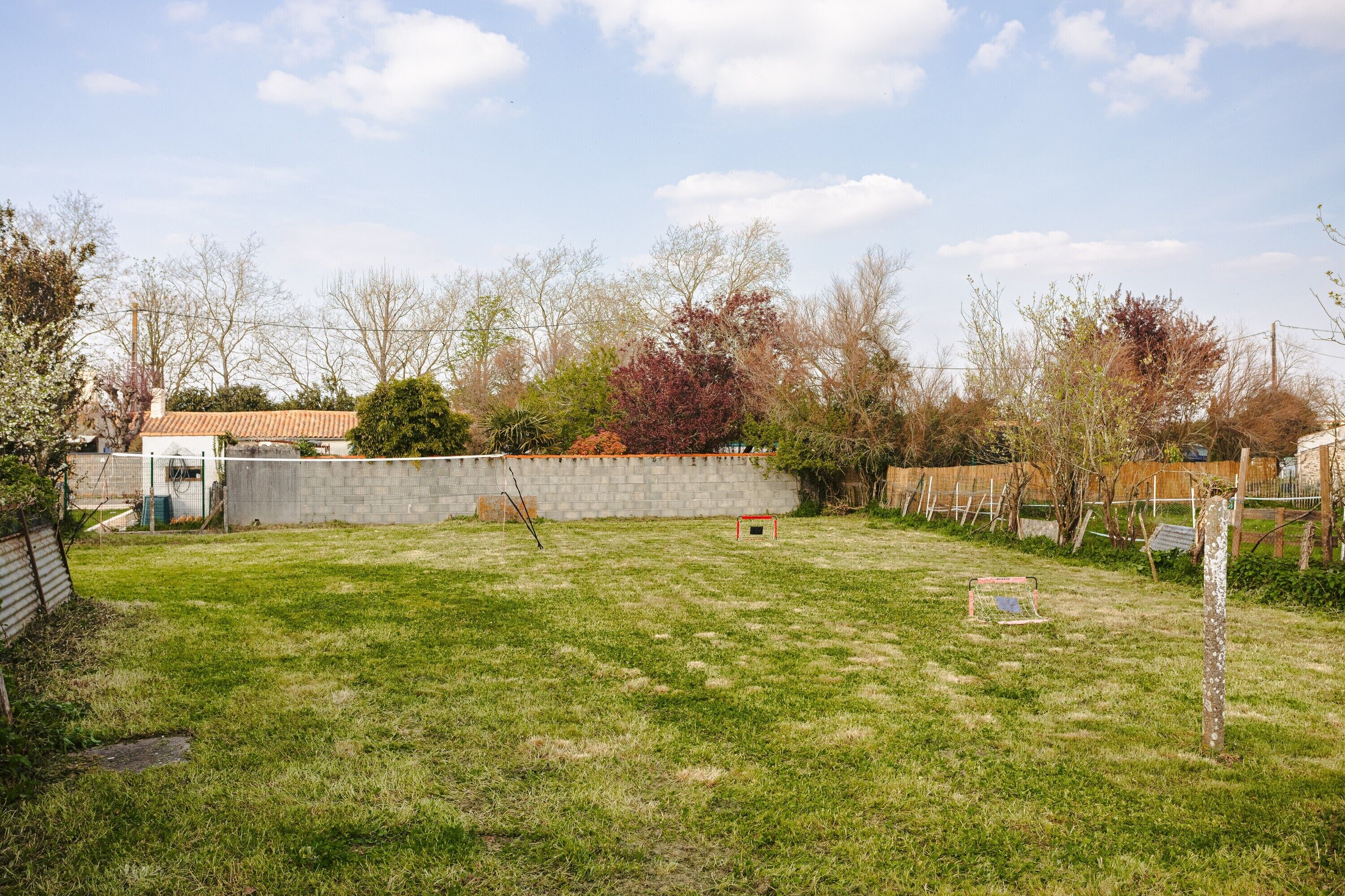 A grassy backyard with a concrete wall, a small shed, and a basketball hoop.