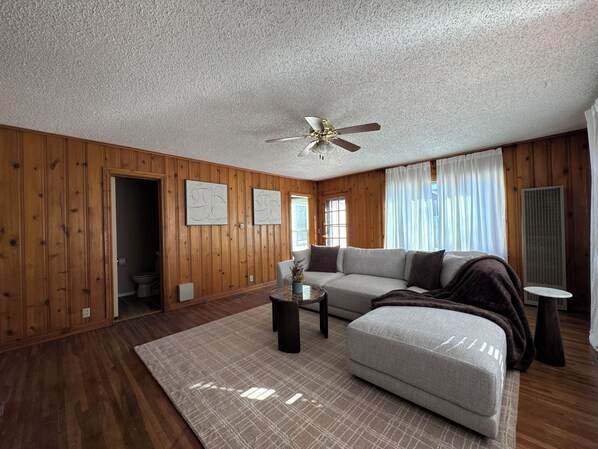 Smart TV, fireplace, books