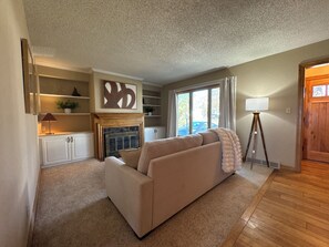 Smart TV, fireplace, books