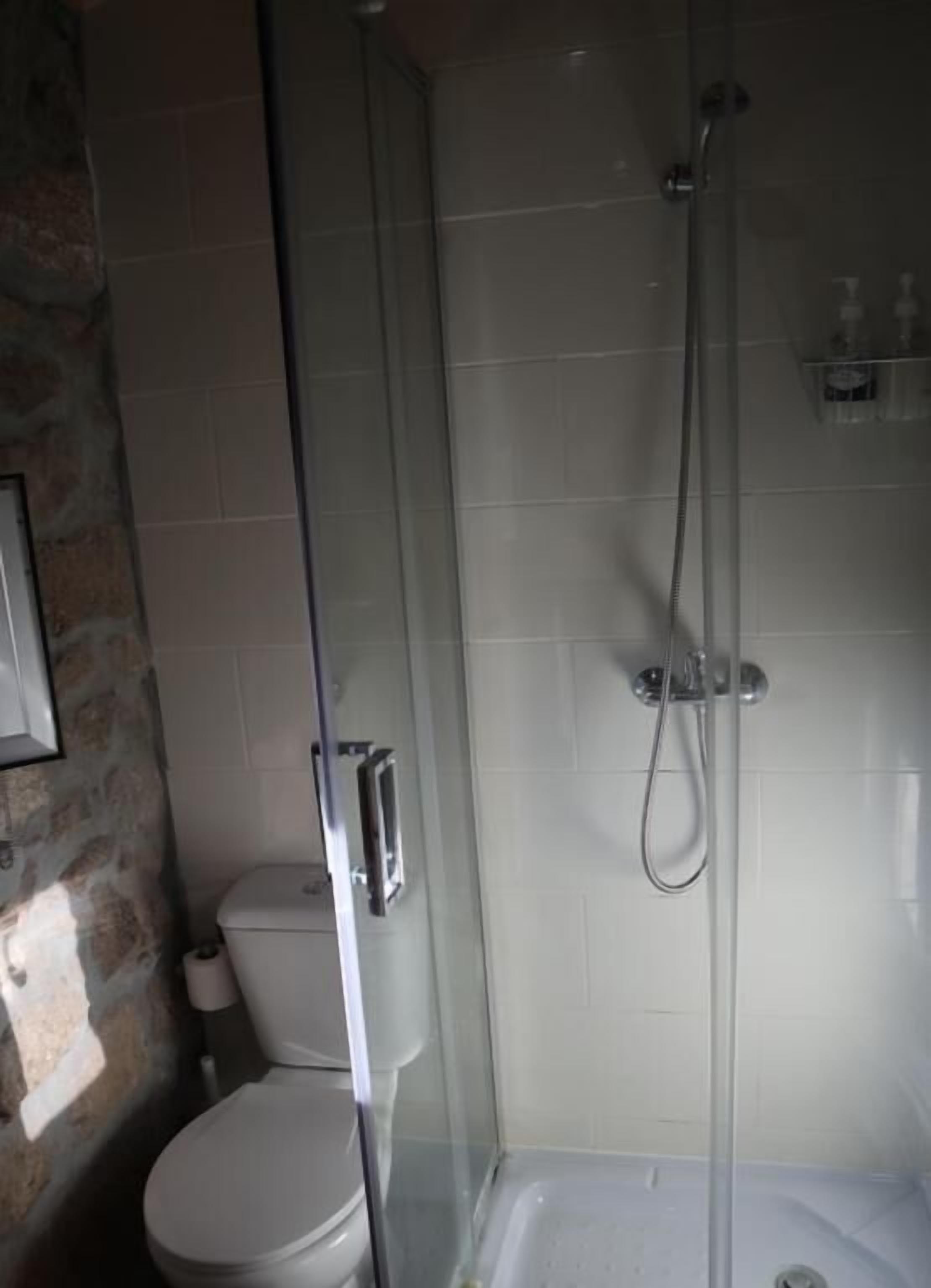 Een badkamer met een douchecabine van glas, een toilet en een wastafel.