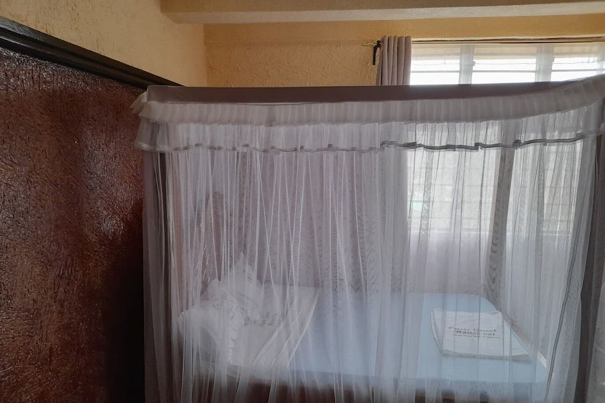 A room with a bed under a sheer canopy.