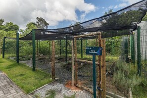 Apartamento básico | Jardines del alojamiento