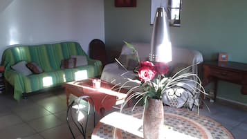 Televisio, takka, DVD-soitin, stereot