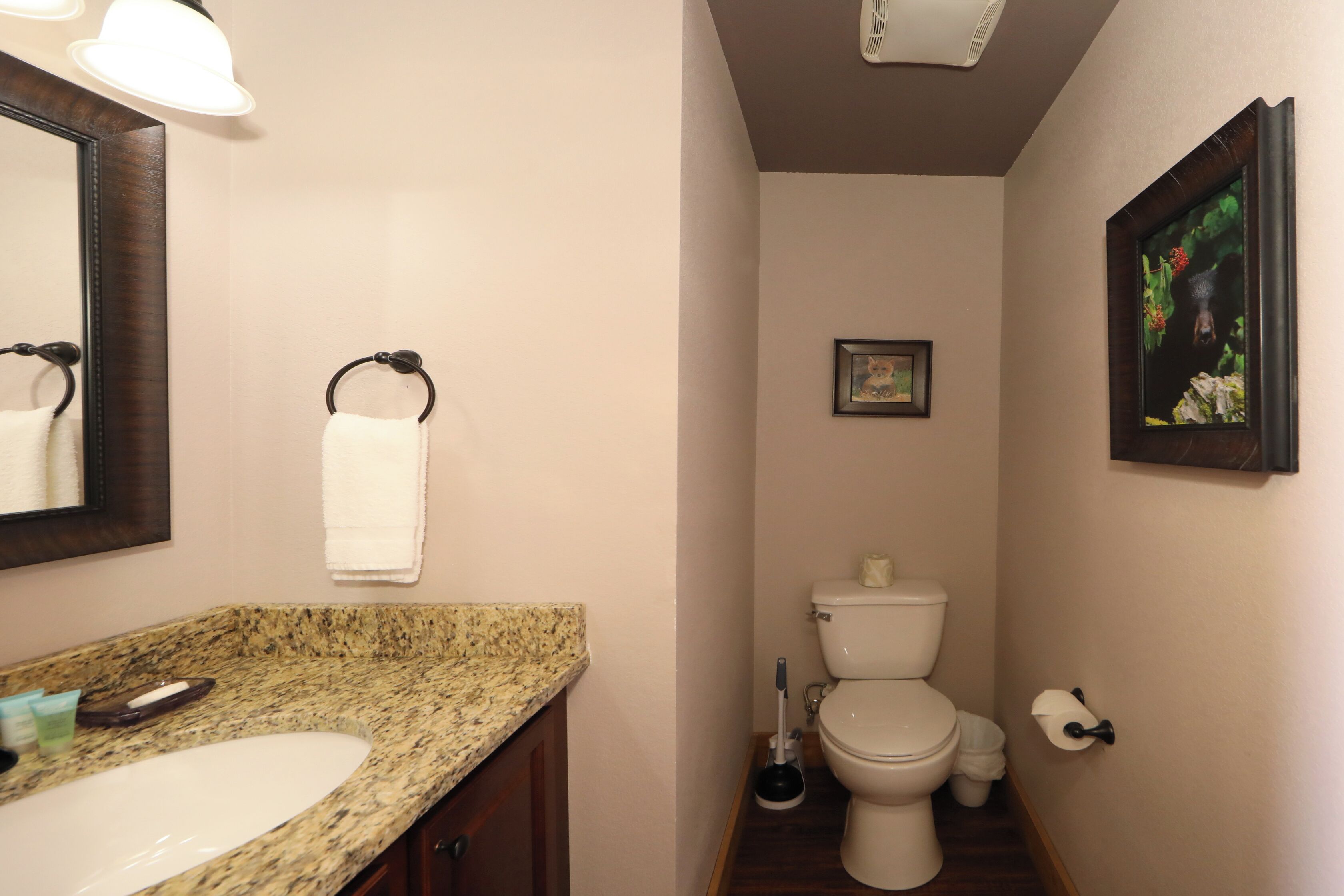 A bathroom with a granite countertop sink, a toilet, and a framed picture on the wall.