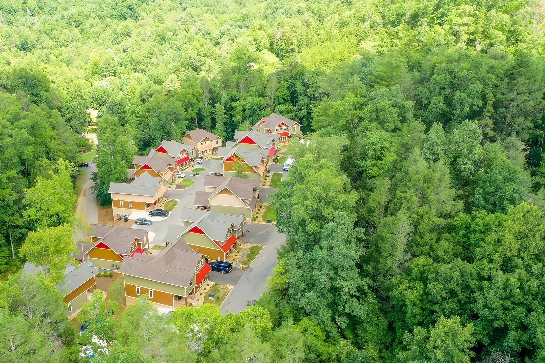 A residential area with houses arranged in a row, surrounded by dense forest.
