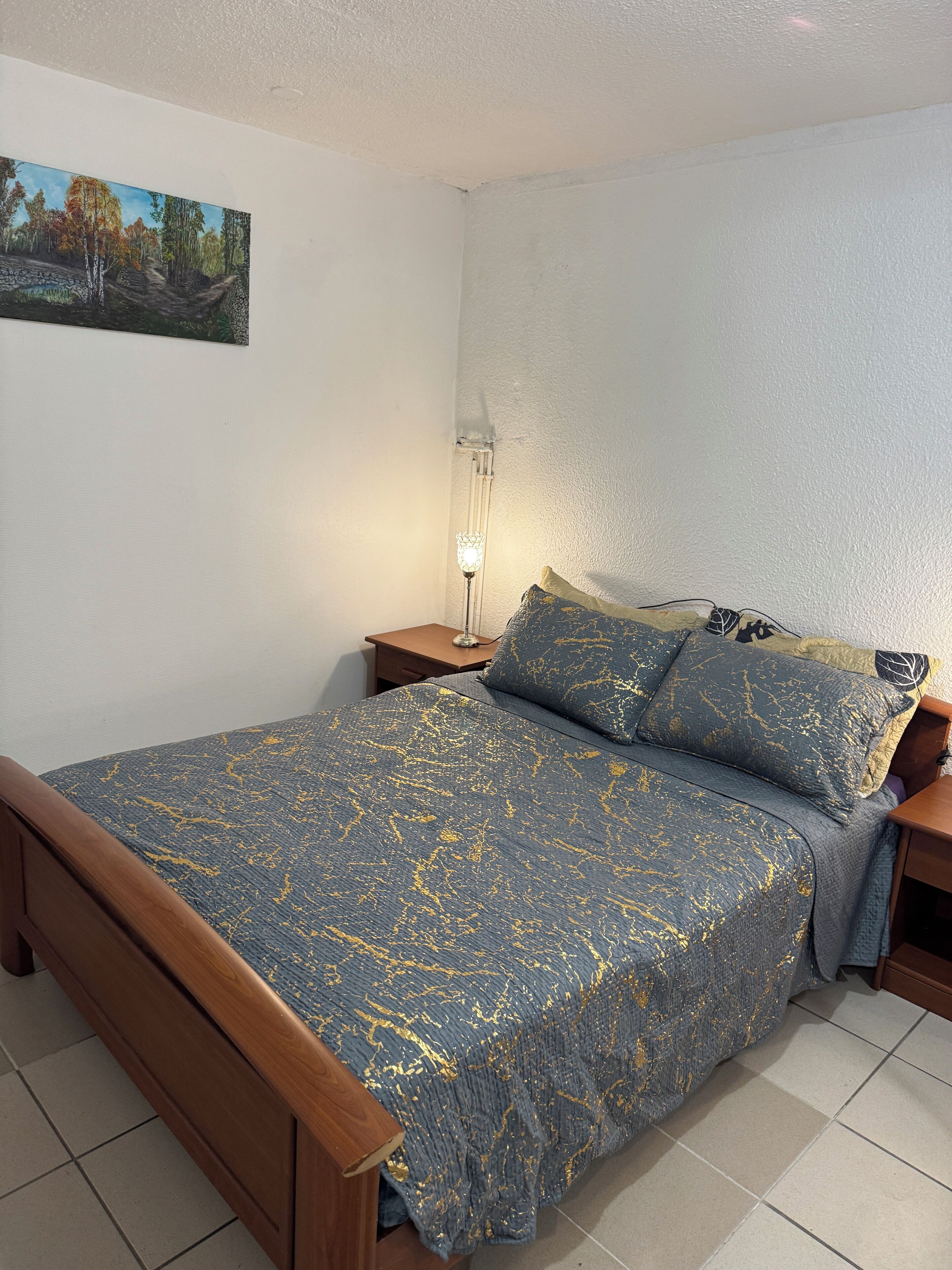 Strykejern/-brett, wi-fi og sengetøy